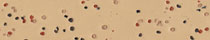 Elmwood, 4520Gauge: 2mm, 2.5mm