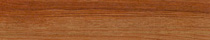 Golden Teak, 1906Gauge: 2.5mm