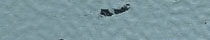 Sea Salt, 213Gauge: 2mm