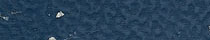 Blue Vervain, 713Gauge: 2mm