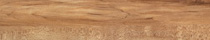 Nut Tree, 1907Gauge: 2.5mm